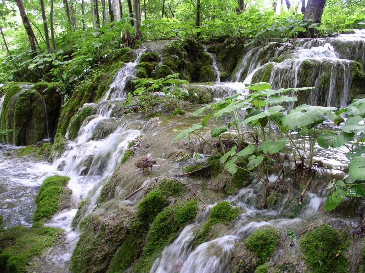 Accommodation Plitvice Korenica Exteriör bild